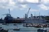 Maerl beds in the Port of Falmouth are considered a non-renewable resource. Photo by Andy Roberts.