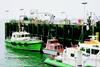 The recycled plastic fender pilings are seen in place at the Milford Haven Port Authoritys refurbished pilot jetty.