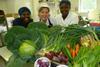 The Royal Alfred Seafarers’ Society’s catering team; from left, kitchen assistant Hilda Hagan, catering manager Jenny O’Neil and cook Nanna Dapaah.