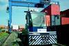 Thamesport has received 13 new terminal tractors supplied by Belgiums MOL Group.