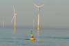 Temporary buoys for places like wind farms are proving popular
