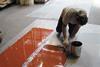 Application of the Sikafloor® Marine PU-Red flooring system.