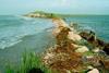 Halcrow is investigating new techniques to deal with coastal erosion.