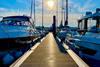 TQY Pontoon Landscape LR