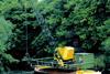 Dredging on the Wensum will continue through 2002.