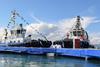 Sanmar and Damen-built tugs will serve a 10-year contract in Jamaica (Ocean Group)