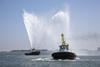 Multraship-Westerschelde-lowres.jpg