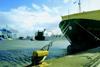 The ITIC Forum was told that seafarers should not be distracted from the primary duty of vessel management and safety.