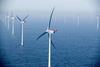 MJ_Newsletter_25.10.07_Renewables.jpg