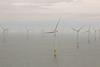 UK offshore wind stands out as having significant growth in the global scene Photo: Peter Barker