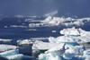 The Clean Arctic Alliance is demanding urgent action to curb the impact on sea ice
