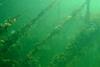 This old dry dock gantry is one of many hazards located by Sub-Surface Engineering divers.