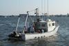 MJ_Newsletter_12-2-09_Wreck.jpg