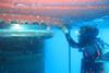 The Hydrex team carried out a detailed underwater inspection