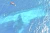 'Manawanui' is visible submerged on the reef off Samoa (New Zealand Navy)