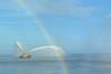 The image shows a firefighting tug in action on the water