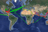World Map