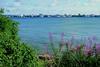 So near and yet so far away. The view to Southampton Docks from the Dibden Bay development site. (Photo: Paul Glendell /English Nature.