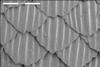 The shark scale like pattern is made of bars and diamonds at size of 2 to 16 microns.