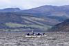 The AWS-III wave energy test device deployed in Scotland’s Loch Ness.