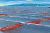 The Marine Energy Accelerator initiative aims to make wave and tidal technologies such as Pelamis more cost competitive.