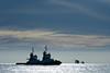 The contract will see Svitzer tugs continuing operations in Nova Scotia (Svitzer)