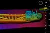 Coda's Echoscope 3D sonar