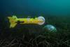 Exail underwater robotics capabilities