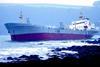 MV Willy was driven ashore on New Years day.