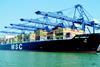 The worlds largest containership, MSC Pamela, alongside last month at the Port of Felixstowe.