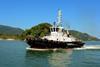 Wilson Sons operate 75 tugs in the major ports and terminals of Brazil (Wilson Sons)