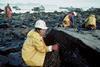 Bioremediation was not widely used until the Exxon Valdez oil spill disaster in 1989