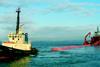 A Pelamis wave energy device is deployed.