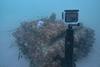 Ecoreef installation in the UAE