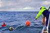 EMEC will deploy static and drifting hydrophones (Photo: Colin Keldie)