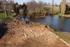 Archaeologists found the remains of the watermill complex ahead of major dredging work being undertaken to Queen Pool