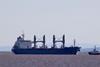 Tsavliris responded to a bulk carrier laden with 25,000t of wheat aground in Argentina (Tsavliris)