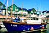 The Becci of Ladram is now operating as a charter fishing boat out of Exmouth marina.