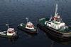An ASD tug, Stan Tug 1606 and a Stan Launch 1305 are on order for Fratelli Neri (Damen)