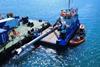 Lost Dredger Drag Head 2