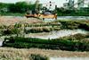 FES is seen drilling mud in Milton Creek.