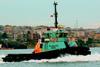 Lamnalco Wagtail is the first of three new tugs built by Sanmar for the Lamnalco Group.