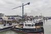 Damen-Workboat-Festival-2018_lowres.jpg