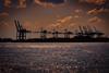 The image shows port cranes at sunset