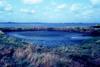 The Humber Estuarys mudflats and salt marshes are vital for the survival of migrating birds.