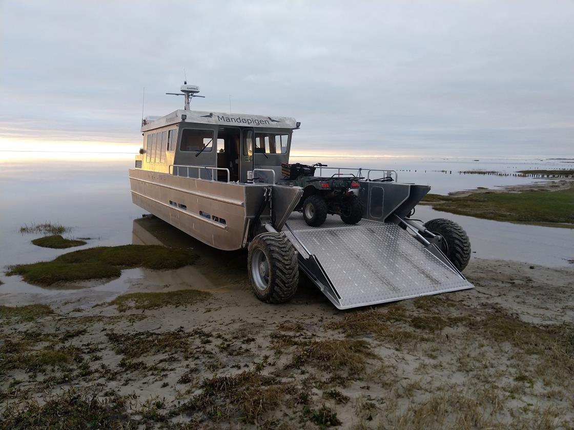 Bigger amphibious boat ordered from PDL | News | Maritime Journal