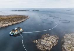 SalMar coastal farming site