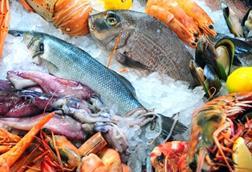 Seafood supply chains