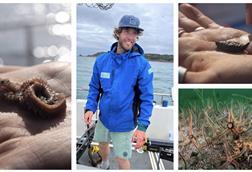 Dr Ben Harris, University of Exeter, and Brittle Star
