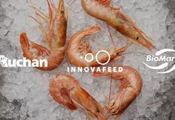 Innovafeed BioMar Auchan 2025